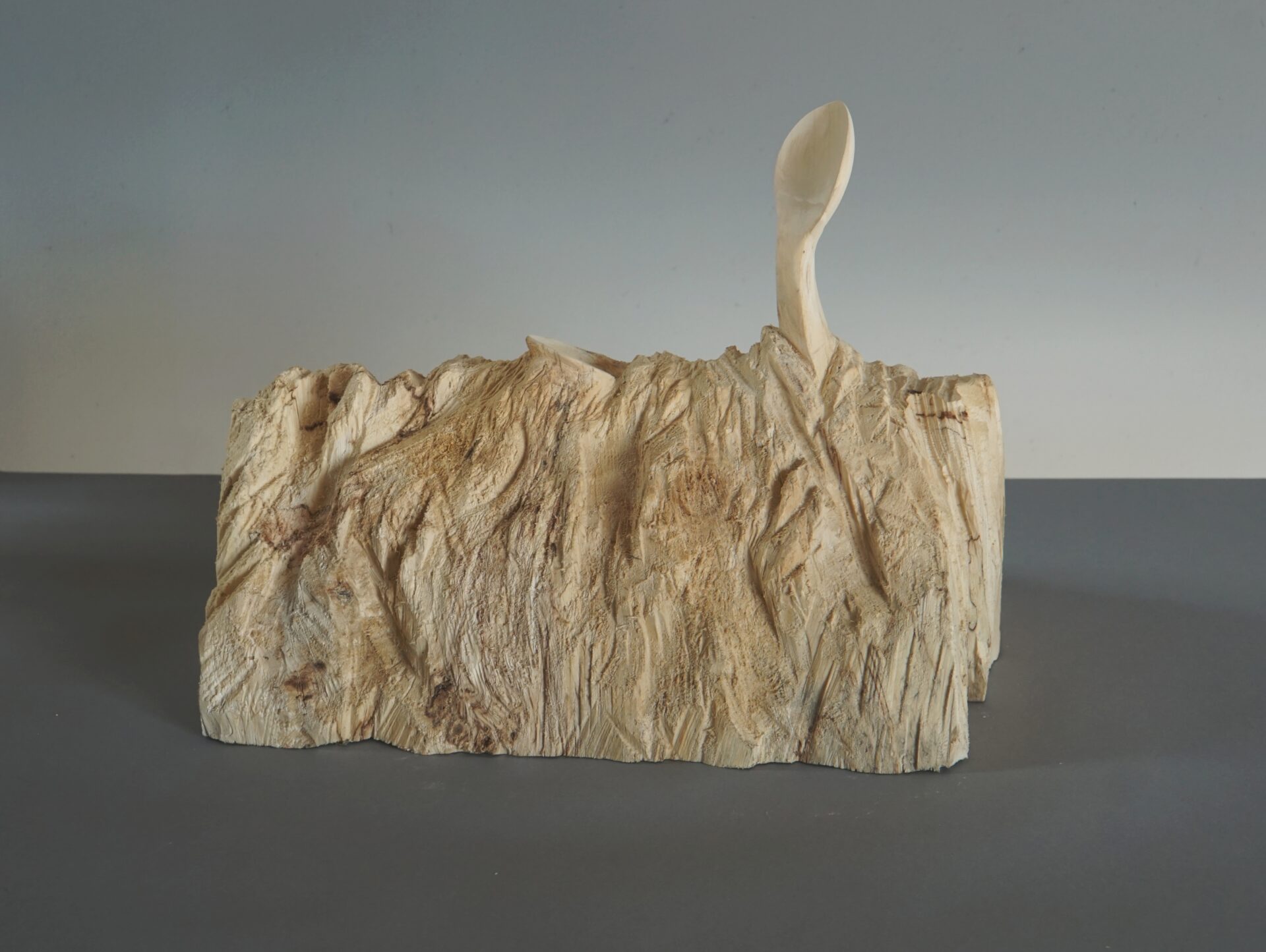 Krzysztof Mazur Planta 2021